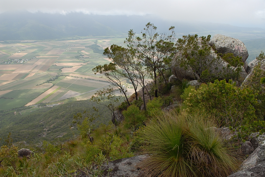 0644 Walshs Pyramid.jpg